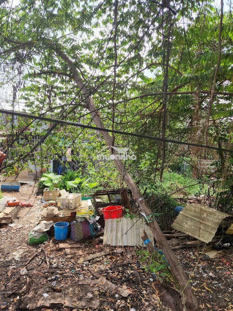 Chính chủ cần bán nhà nát hẻm>3m bchánh.dt đất: 293m2.bán nhanh 8 tỷ. - 3