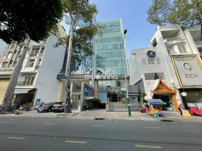 Cho thuê toà buiding 3.100m2 mới xây dựng quận 3