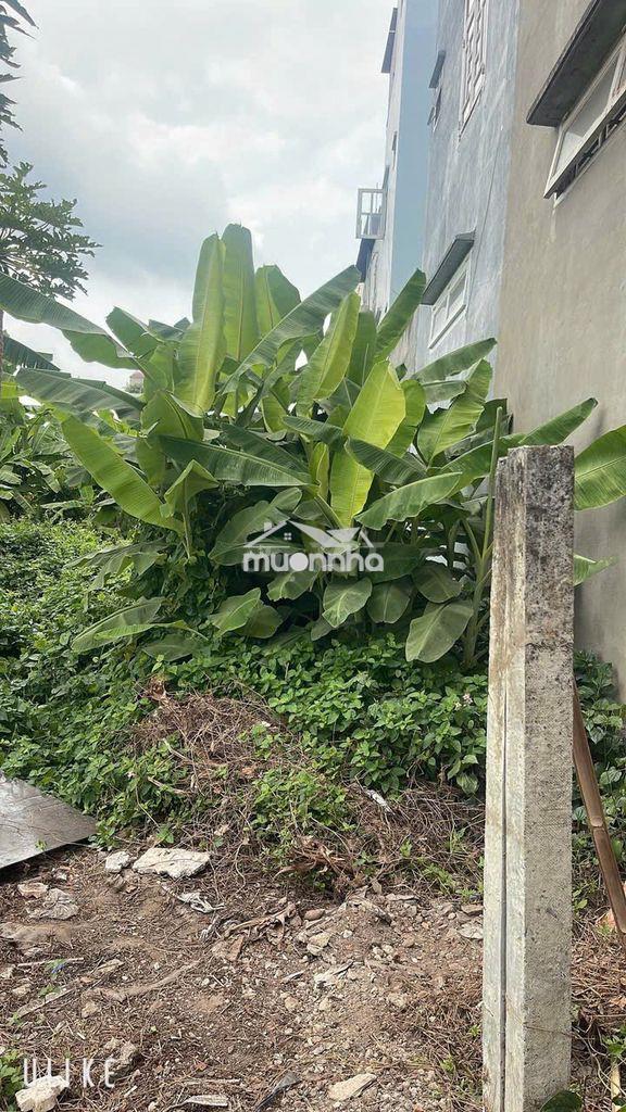 Bán nhà tặng 190m2 đất,chỉ hơn 70tr/m2,ngay sông vàm thuật,