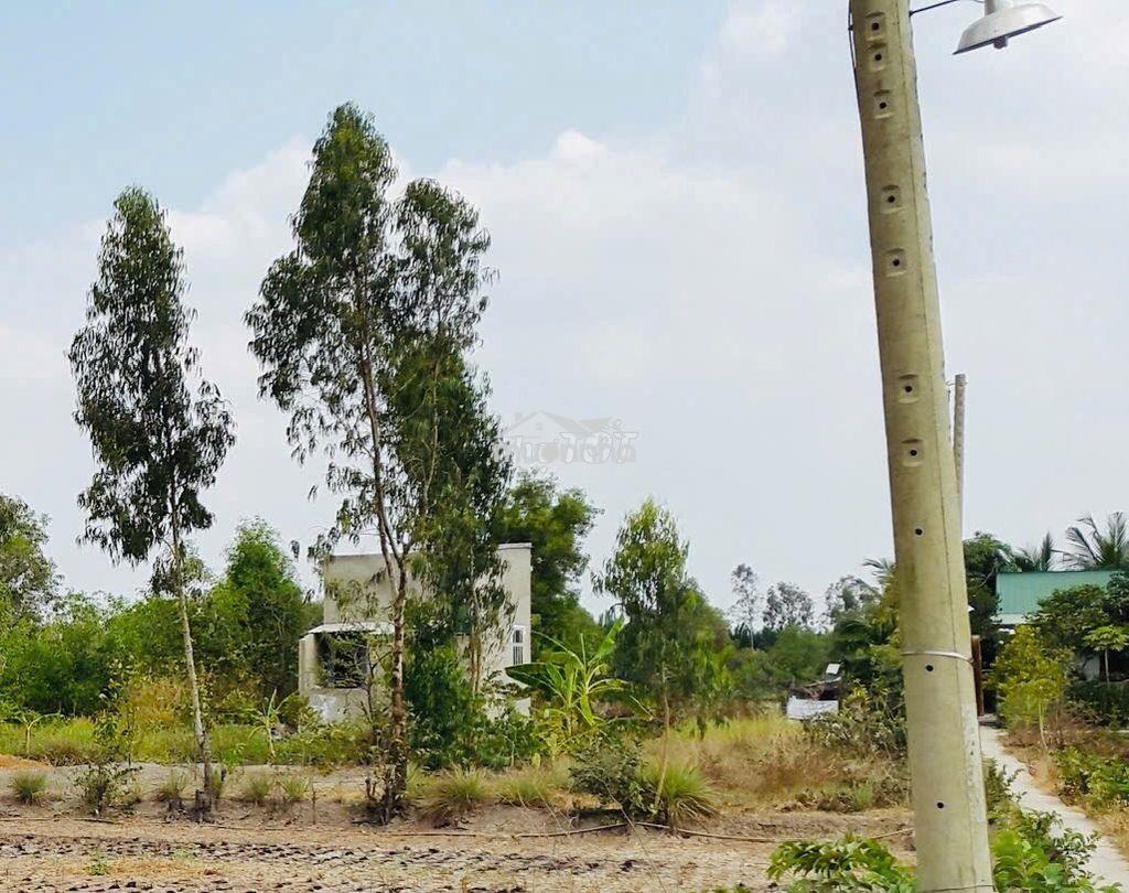 Bán đất  vườn chính chủ giá rẻ - 2