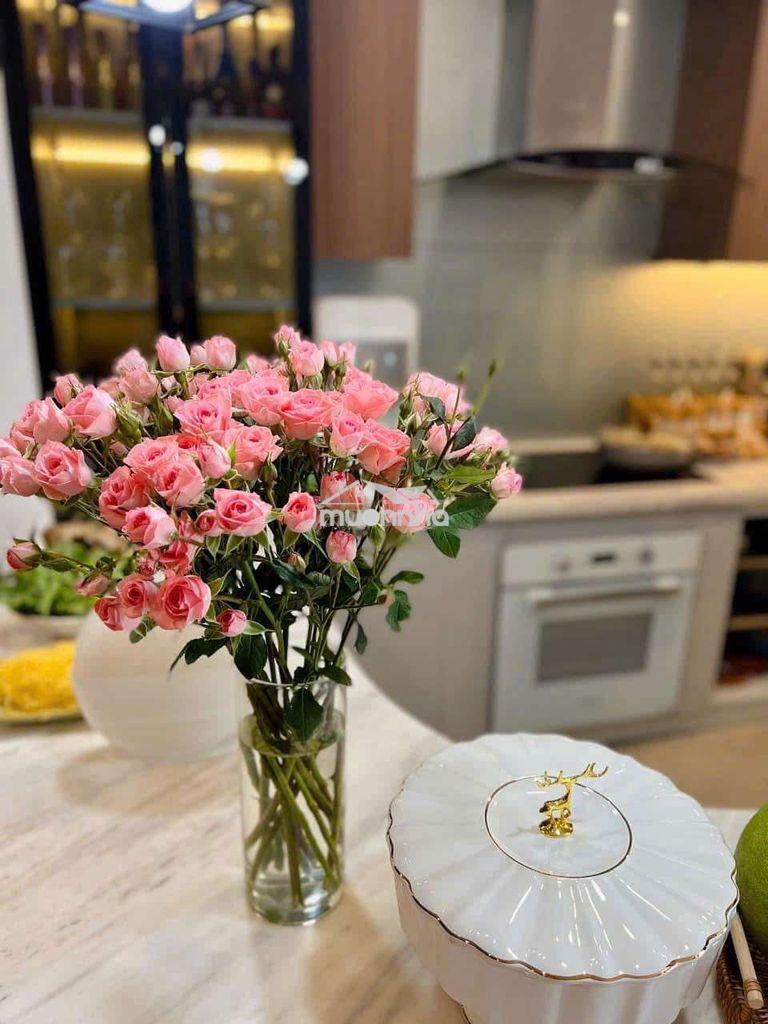 Cho thuê căn hộ sunrise city north 97m2