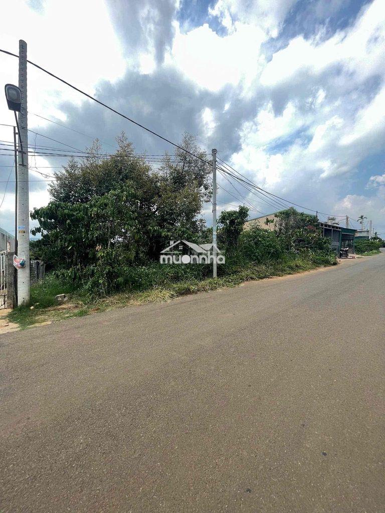 Đất mặt tiền đường lê lai xã di linh