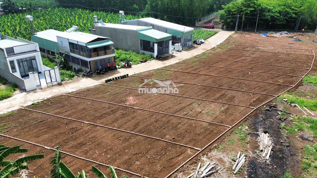 115m2 đất thổ cư hẻm bê tông 5m sát nguyễn hoàng và gần chợ sông trầu - 2