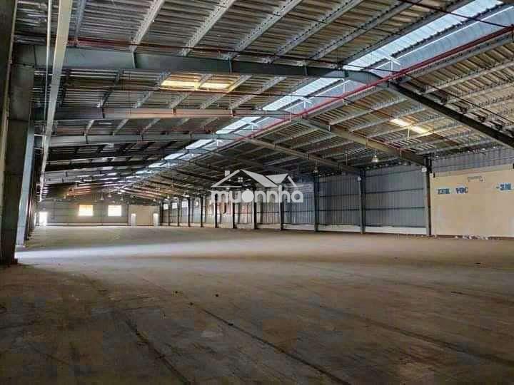 Cho thuê nhà xưởng 1300m2 giá thuê 60 triệu/ tháng - 3
