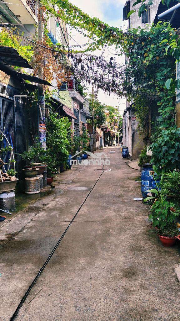 Nhà cho thuê nguyên căn quách điêu