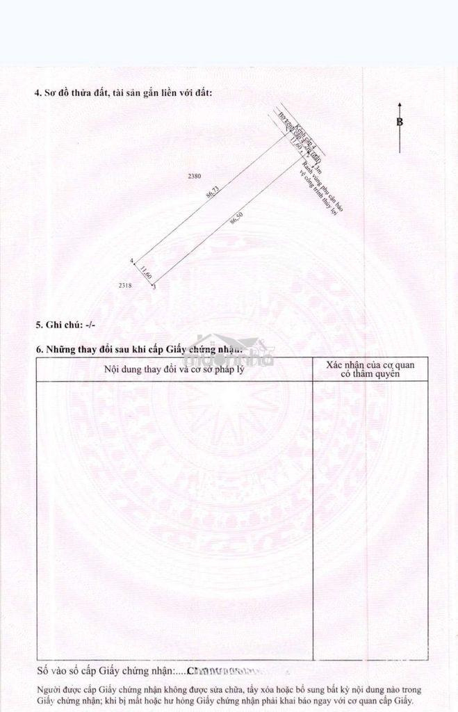 460t đất vườn 1000m²(11,5×87)m, xe hơi đỗ truóc đất,cao ráo,sổ sẵn,tlg - 4