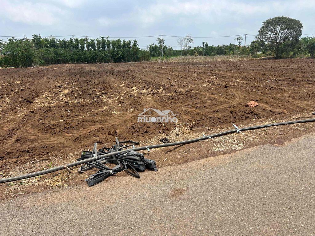 Bán đất mặt tiền đường gần vòng xoay ngã 6 . giá rẽ . - 4