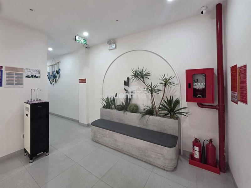 Cho thuê căn hộ studio có ban công ở trục đường quang trung - gò vấp