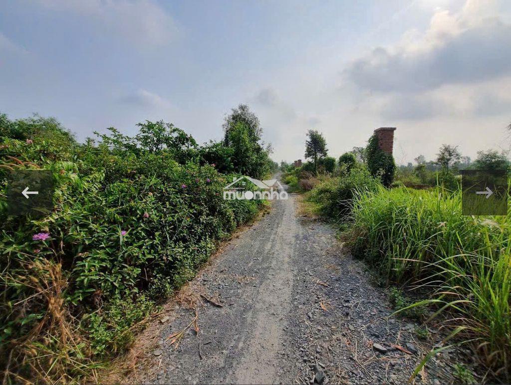 Bán đất huyện củ chi | 1.000m² | giá 7,1 tỷ | thửa 440 - tờ 42 - 3