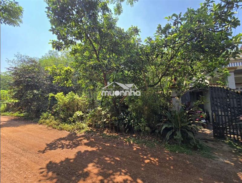 [Chính chủ bán] đất + nhà cấp 4 đường bàu đế