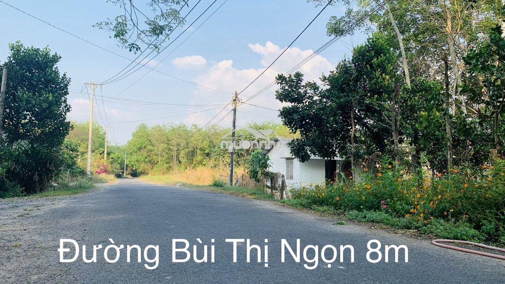 Đất vườn 5000m² 2 sổ riêng chính chủ - an nhơn tây củ chi - 6,8 tỷ tl - 3
