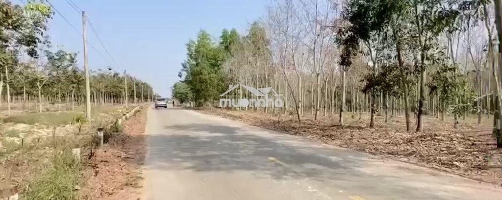 Bán đất 2 mt tân thành 43-btu - tp. hcm-gần kcn vsip 3, btu 1, 2, 3 - 4