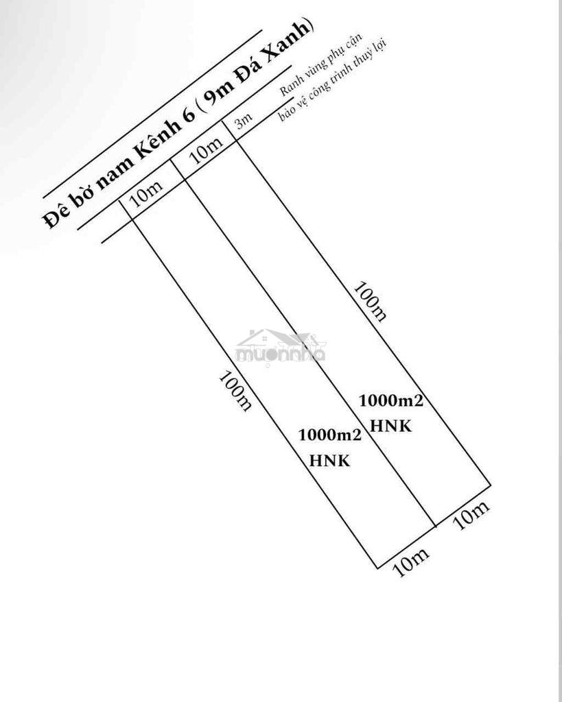 Đất vườn cho lên thổ 1000m2 xả 750tr tân thành, thủ thừa - 4