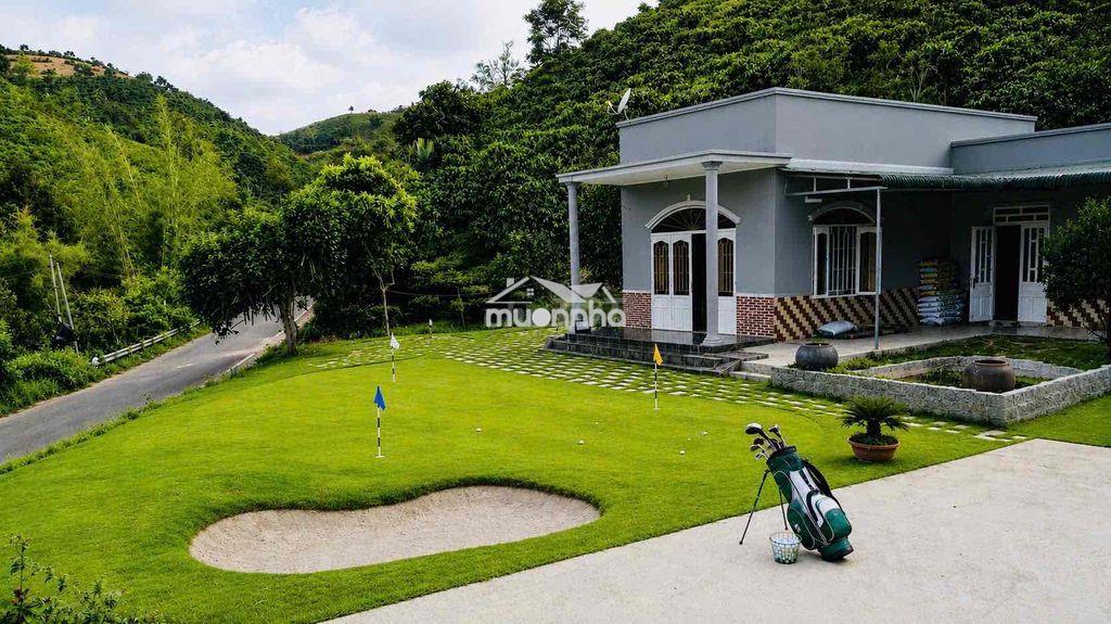Siêu farm nghỉ dưỡng 1,45ha – mặt tiền blaosire đầy đủ nguồn thu cà sầ - 2