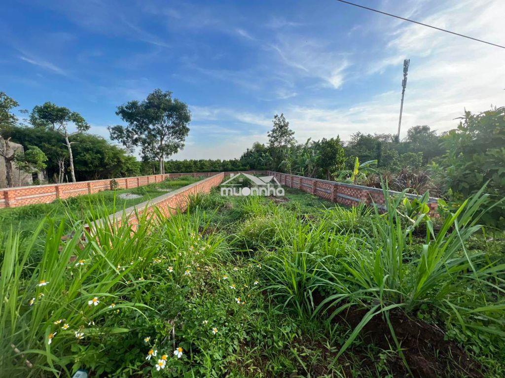 Kẹt tiền bán đất nền gần sân bay long thành - 2