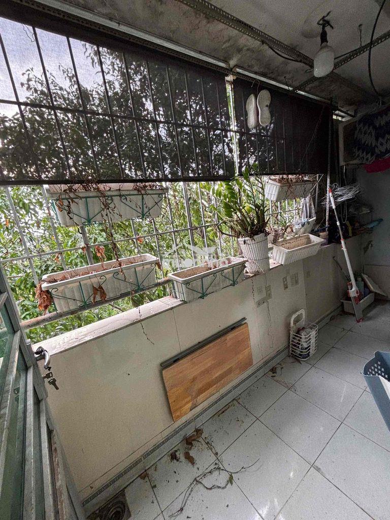 Căn hộ chung cư ba son, phường 7, gò vấp sau lưng siêu thị coopmart - 4