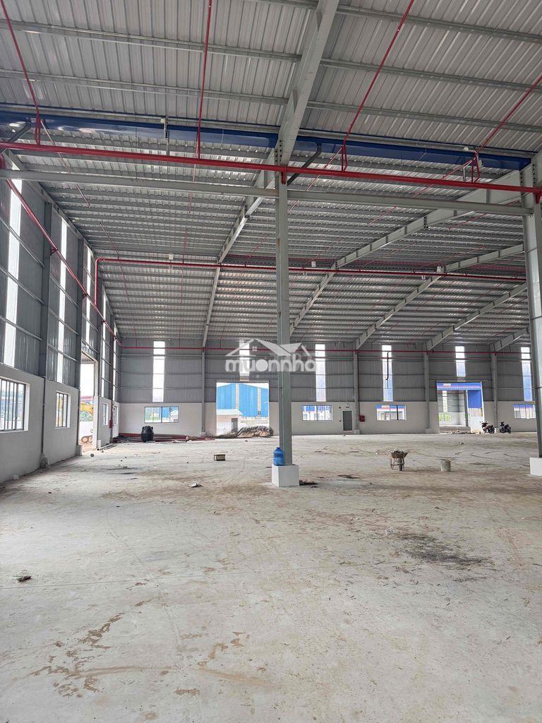 Cho thuê 2000-3000-5000m nhà xưởng phước hoà - phú giáo - 3