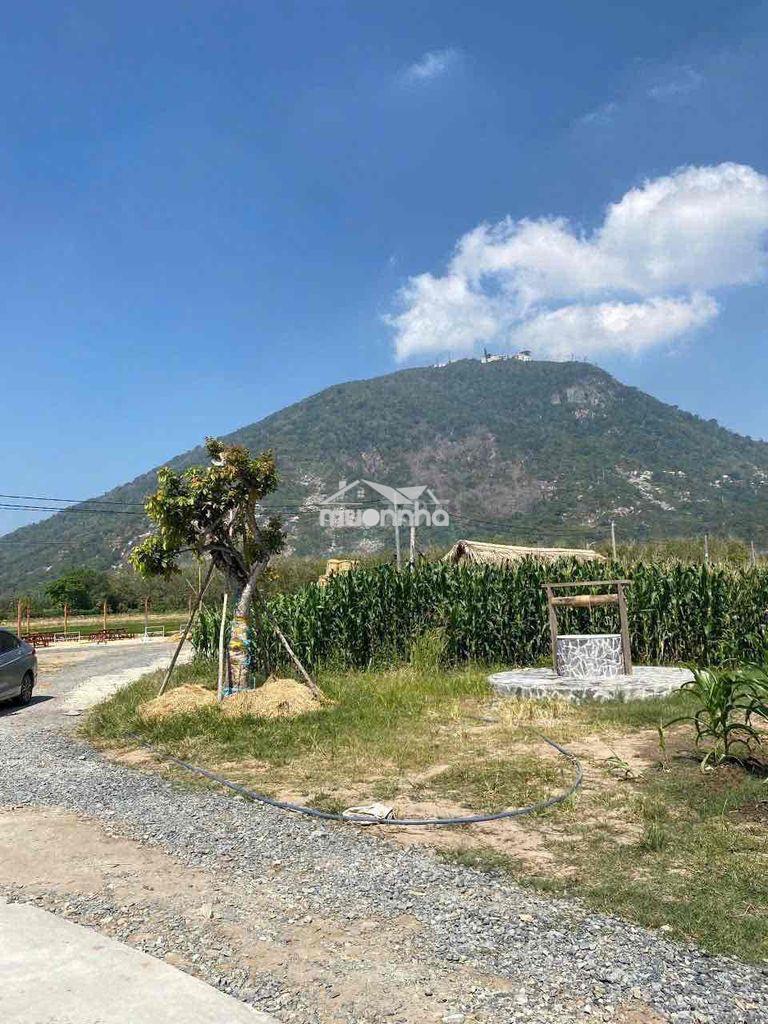 1 mẫu 3 đất 2 mặt tiền, view núi, chỉ 6 tỷ 800 triệu - 3