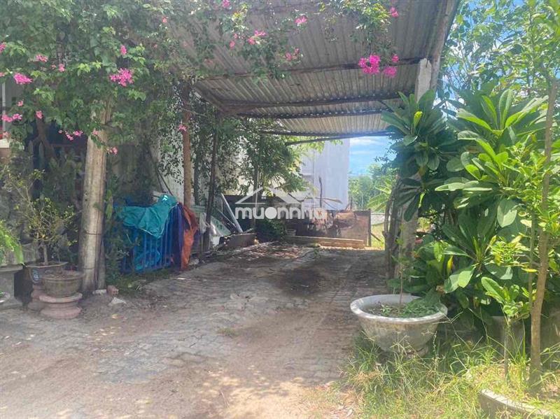 Chào bán lô đất đường đại an 3. khu tdc bá tùng giai đoạn 1. sát võ ch