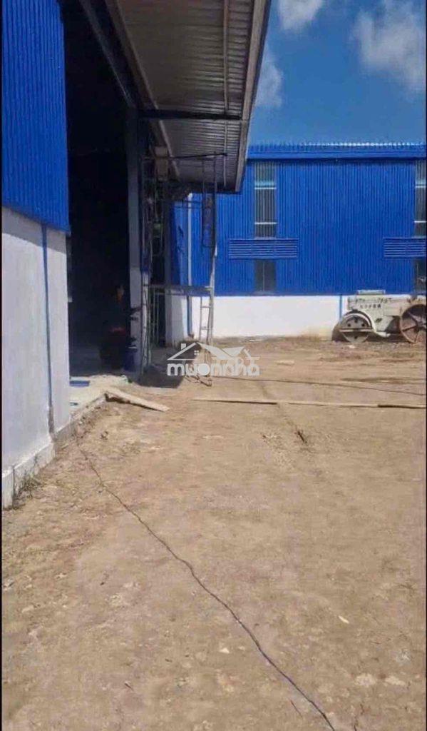 Cho thuê xưởng an điền bến cát . bình dương