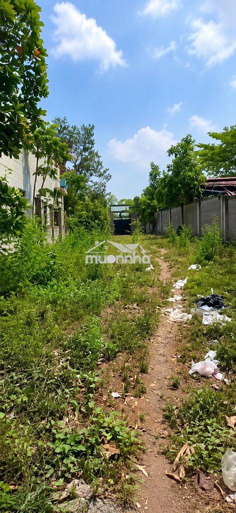 View hồ trị an ngay mã đà hơn 600m² có thổ cư, bến du thuyền, 6,5 tỷ - 2