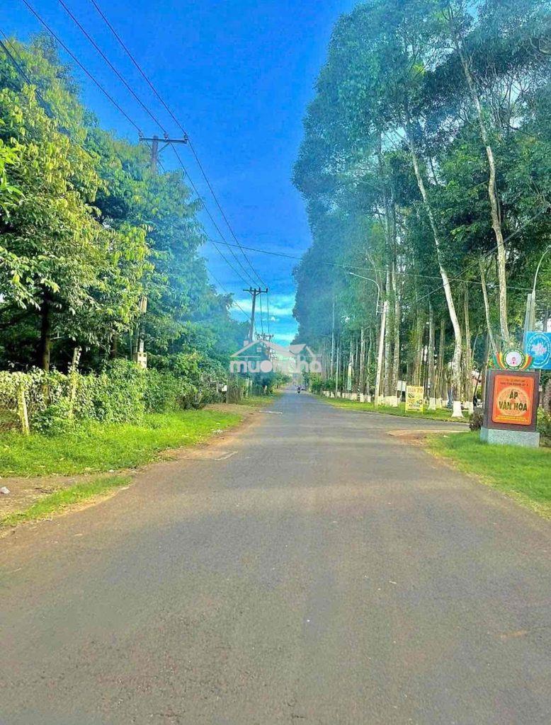 Đất vườn nghĩ dưỡng cuối đường lê hồng phong - 2