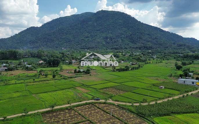 Hạ giá hơn100 triệu sập sàn cho lô đất trung tâm xuân lộc tp đồng nai - 3