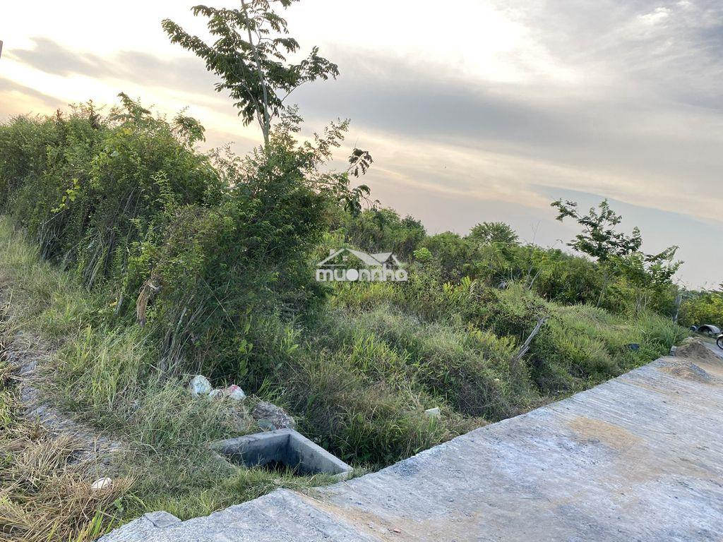Bán đất lúa khu nhơn thạnh trung, ô tô vào tới đất, thông dt833 - 2