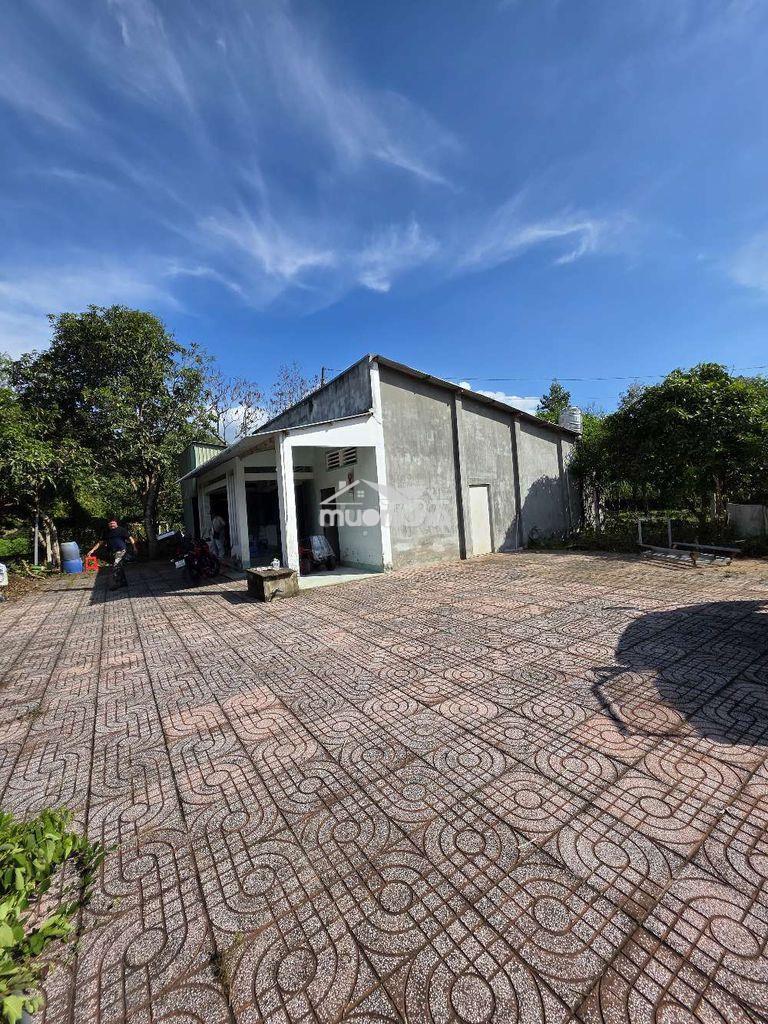 Giá rẻ hơn 4ty - gần 900m2 - trang trại cây ăn trái - gần vành đai 4 - 2