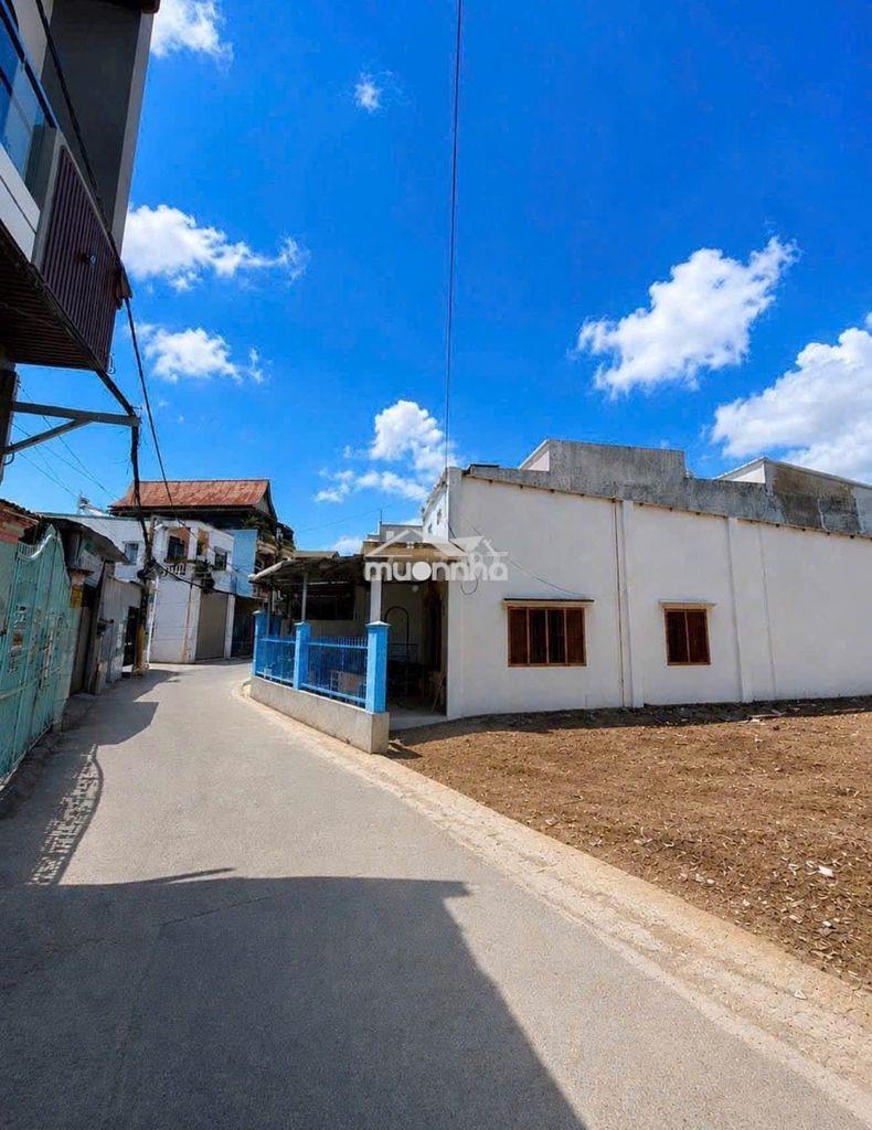 Cần bán đất ngộp bank lò thổi – biên hòa 84m2 giả chỉ 1 tỷ 1 - 3
