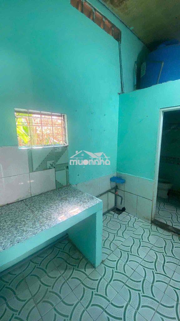 Cho thuê nhà nguyên căn tại hẻm 273, đ. lê hồng phong, p. phú lợi - 4