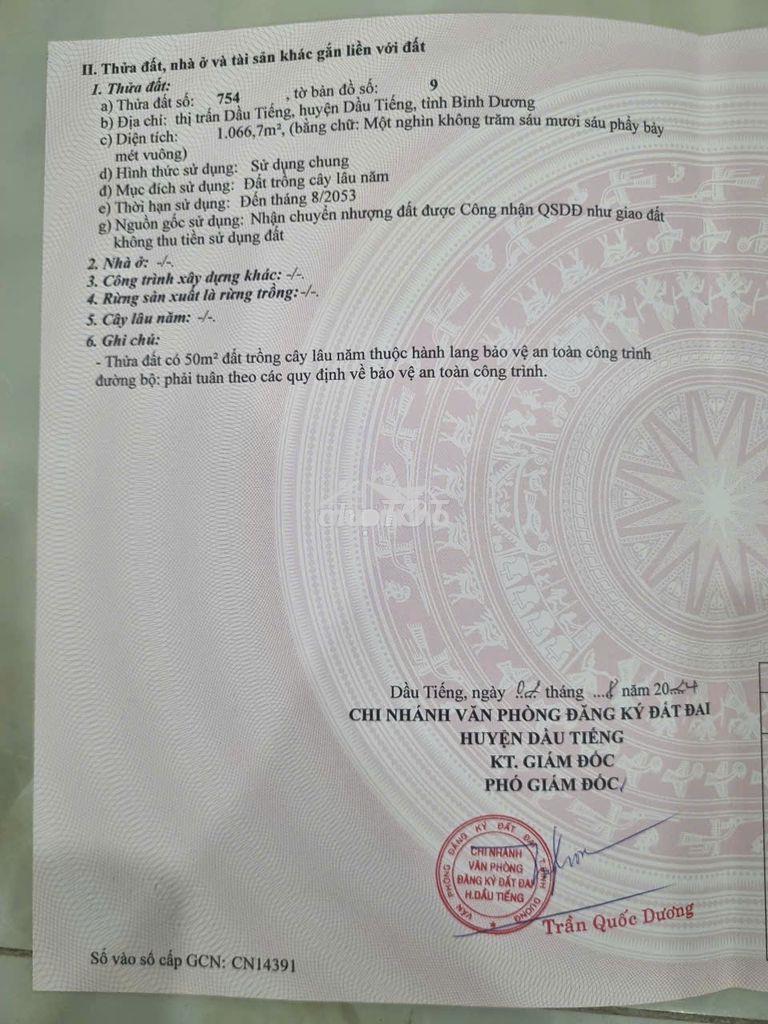 Bán đất ngay tại đường trần phú, trung tâm thị trấn dầu tiếng.
