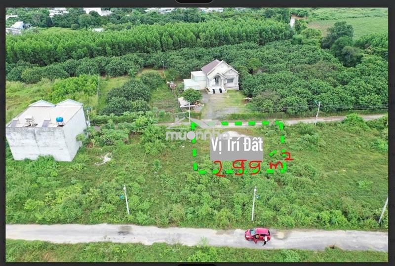 Bán đất phước tân – biên hòa | gần ql51 | 299m2