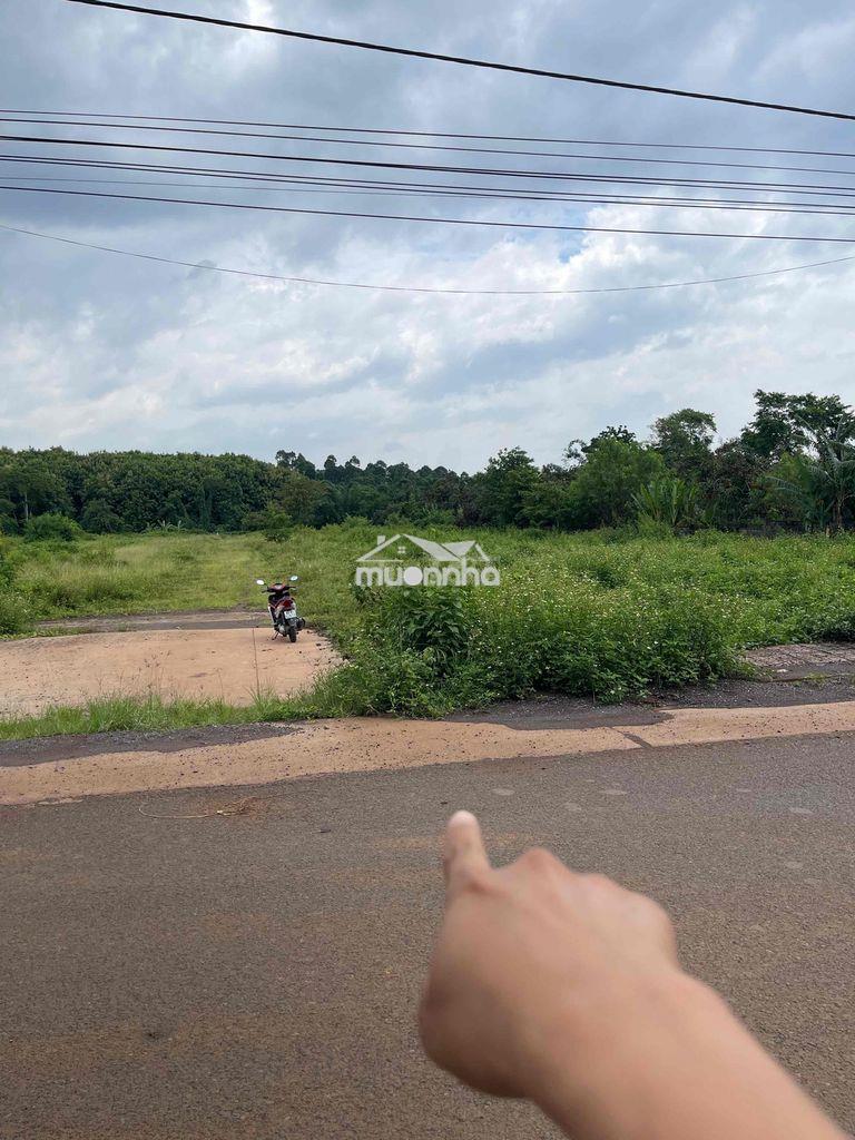 Kẹt tiền bán nhanh góc 2 mặt tiền đường nhựa, đối diện kcn xuân quế