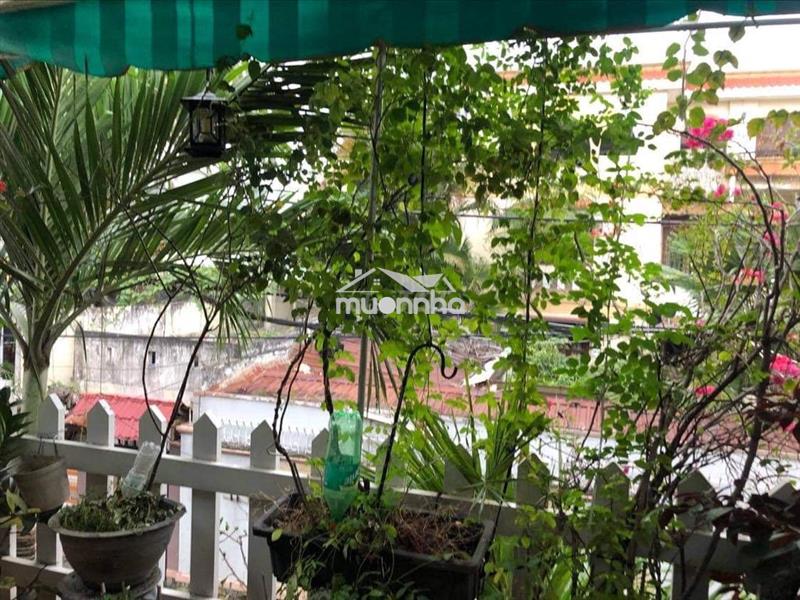Cư xá lữ gia,1 lầu, đường 8m, an ninh, view đẹp