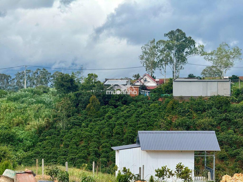 Bán gấp 2 sào đất xã nam hà cách đường nhựa chỉ 200m chỉ 999 triệu - 3