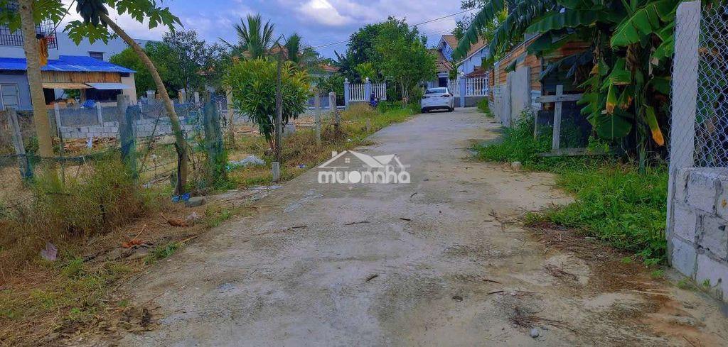 Đất nam thành 132m2 ngang 10m gần nam kỳ khởi nghĩa chỉ 300m - 2