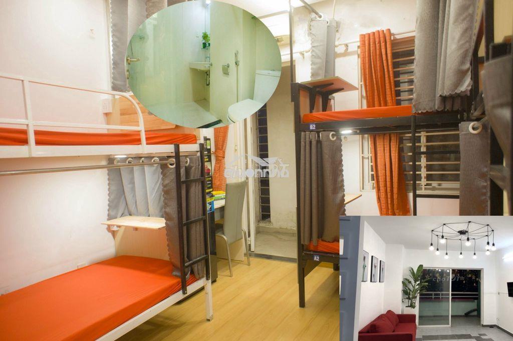 Đại học văn lang trần hưng đạo phòng thuê ghép sinh viên văn phòng - 2