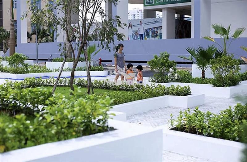 Bán căn hộ 8x đầm sen  1pn ( sổ hồng)