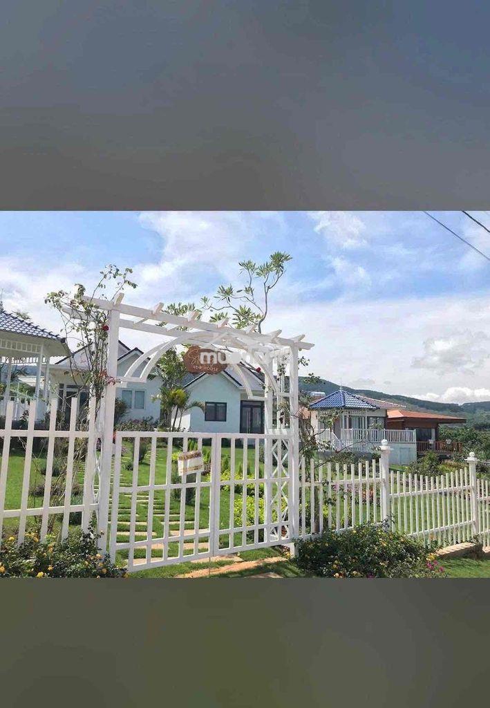 Bán lô 2mt giá rẻ nhất dự án lâm hà, lâm đồng - 3