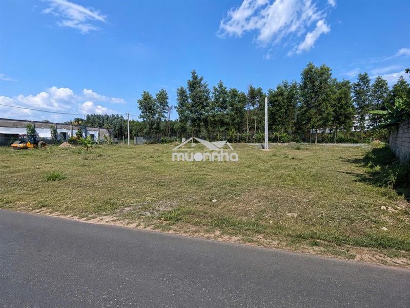 Bán đất thổ cư biên hòa chính chủ 80m2 - 1,2 tỷ