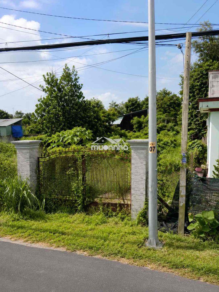 Chính chủ bán gấp 1000m2 đất mặt tiền nguyễn thị nê, củ chi - 3