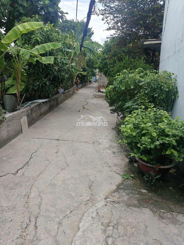 Cho thuê nhà nguyên căn - 4