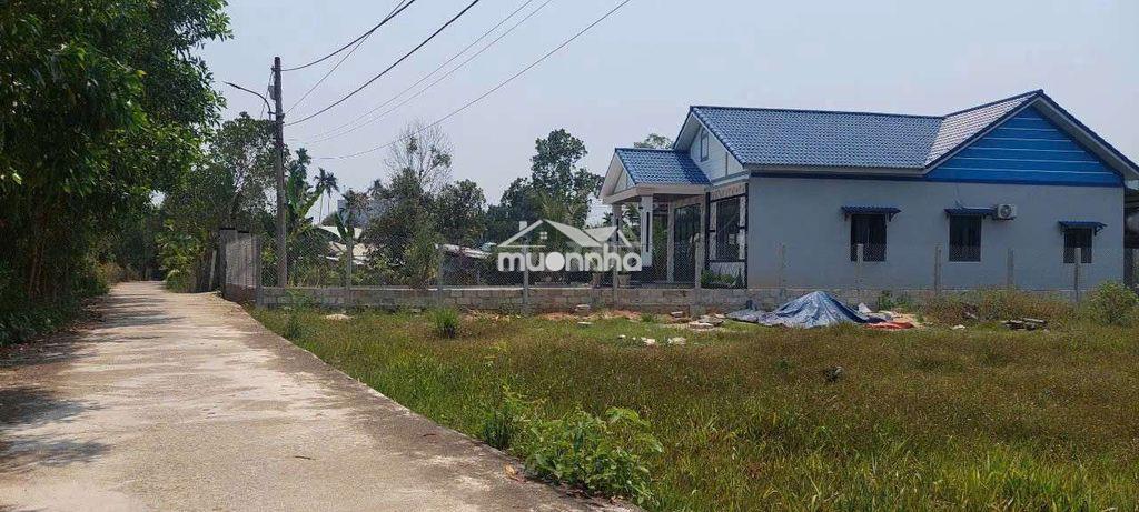 Đất trồng cây hằng năm không ngập lụt, 413m2 ngang rộng 14m - 2