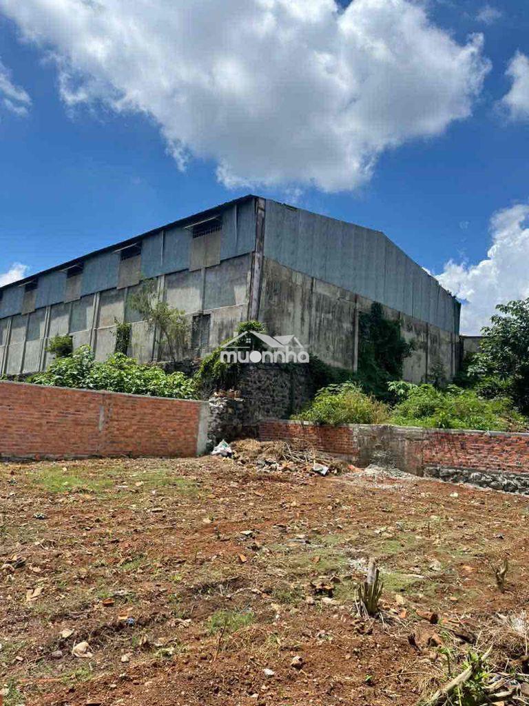 Đất trung tâm full thổ cư-tặng kèm 200m2 đất ruộng.giá cực tốt