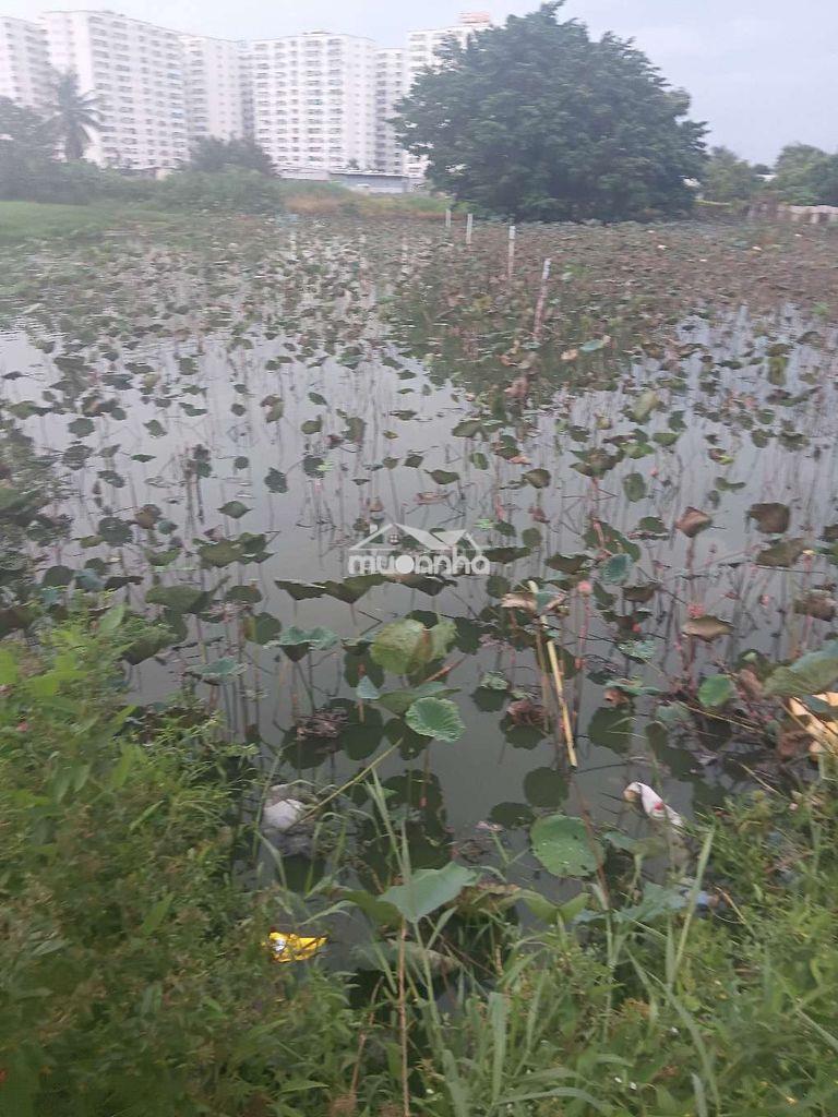 Đất nông nghiệp ,1870/5 đường tỉnh lộ10 gần cầu tân tạo - 4