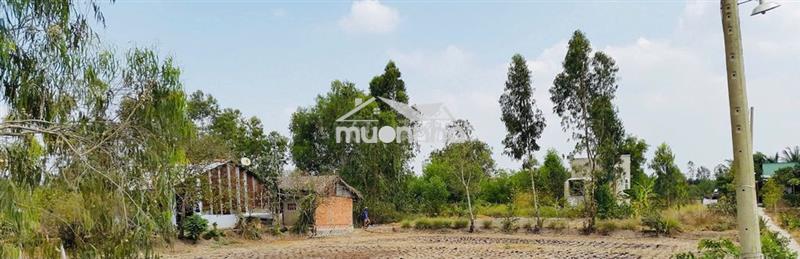 Bán đất  vườn chính chủ giá rẻ