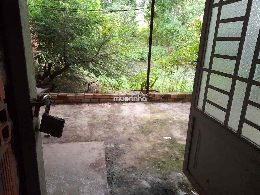 Chính chủ bán nhà có sổ riêng (cách bệnh viện bc 200m) - 3
