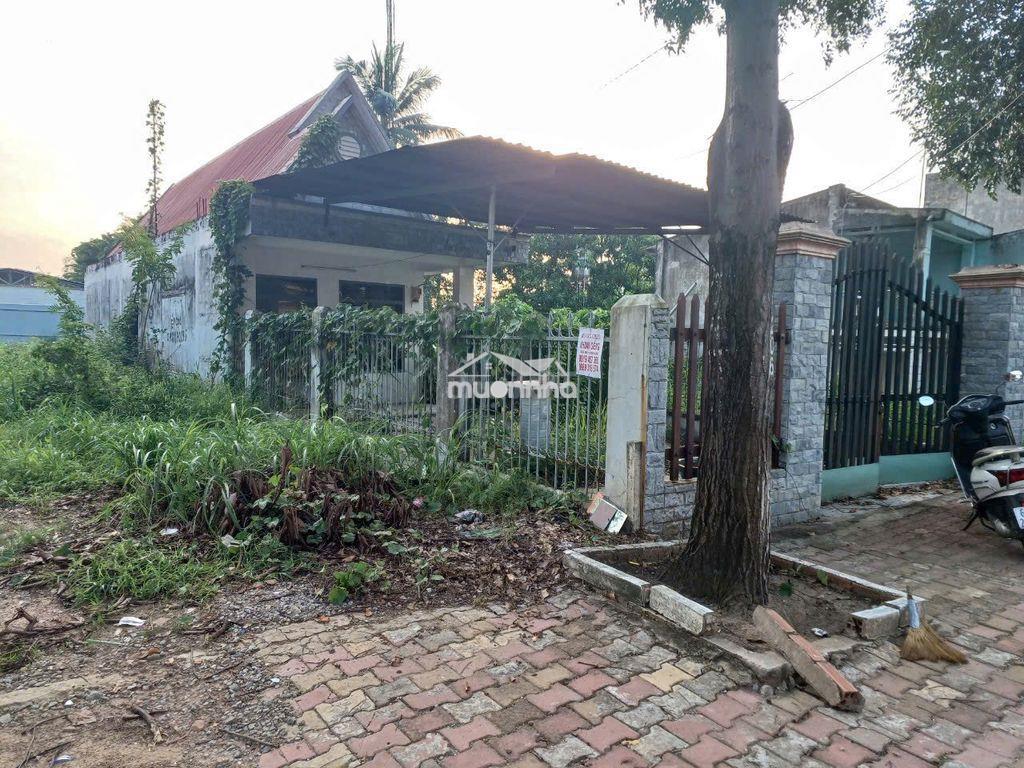 Bán gấp nhà mặt tiền đường nguyễn tri phương, phường chánh nghĩa, - 4