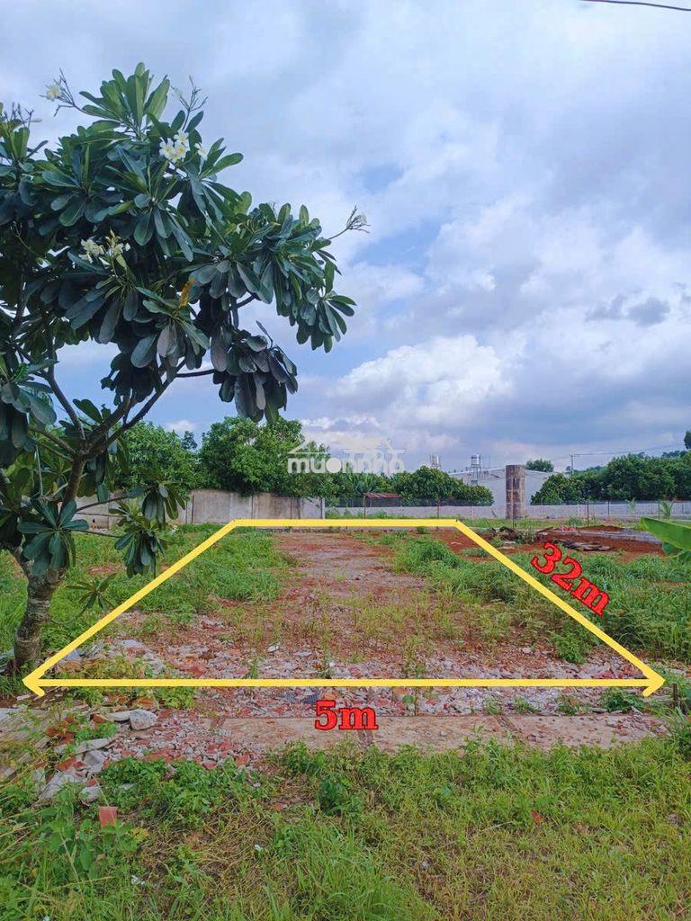 161m² – mặt tiền đường nhựa 10m – gia kiệm – chỉ 1 tỷ 280 triệu - 3